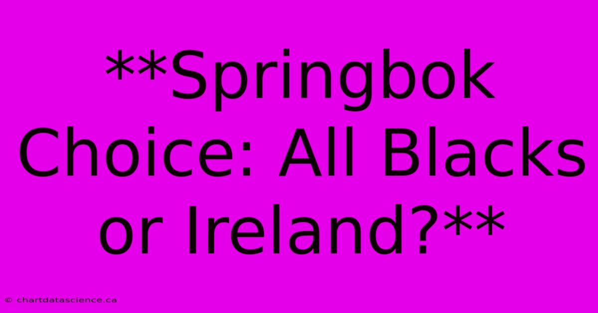 **Springbok Choice: All Blacks Or Ireland?** 