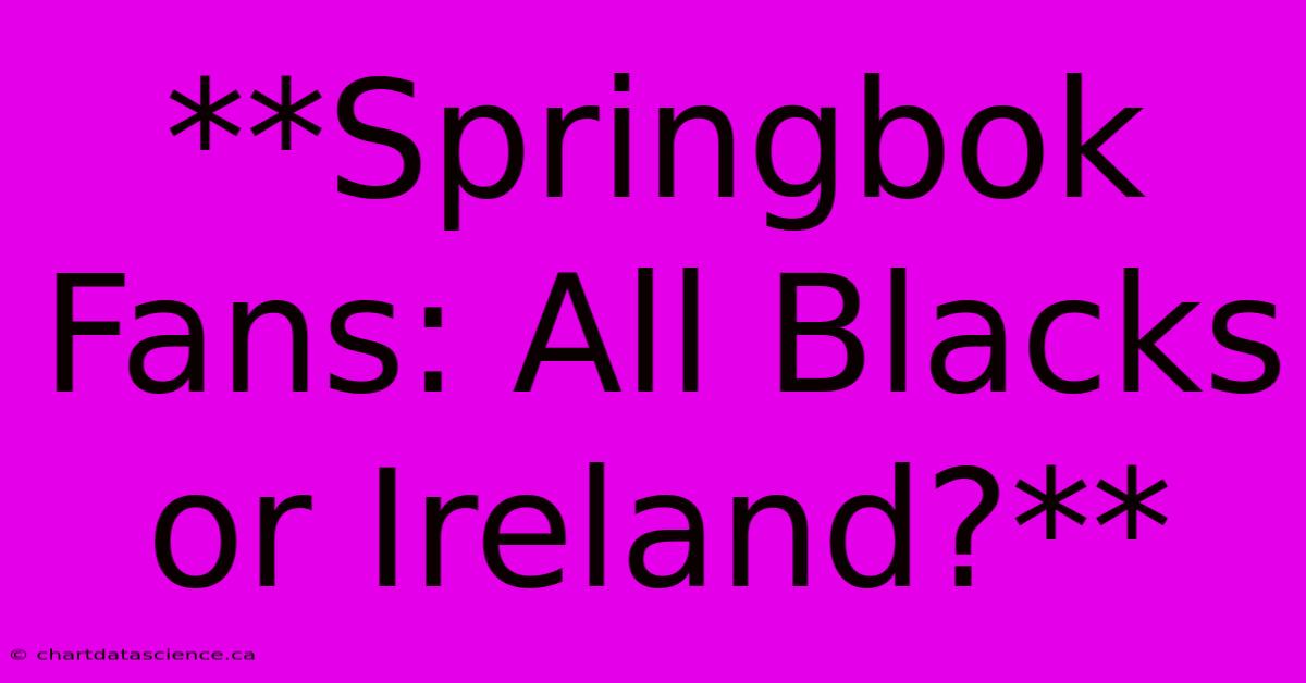 **Springbok Fans: All Blacks Or Ireland?** 