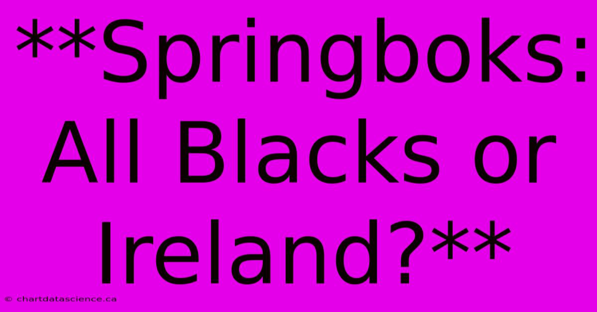 **Springboks: All Blacks Or Ireland?** 