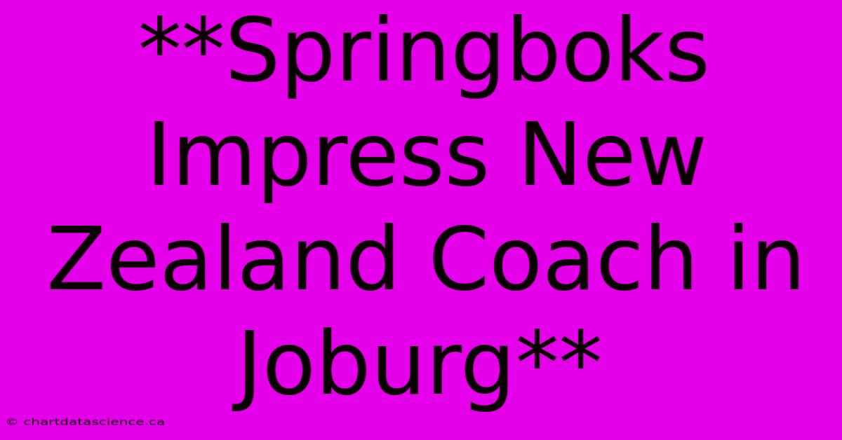 **Springboks Impress New Zealand Coach In Joburg**