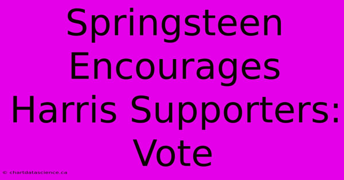 Springsteen Encourages Harris Supporters: Vote