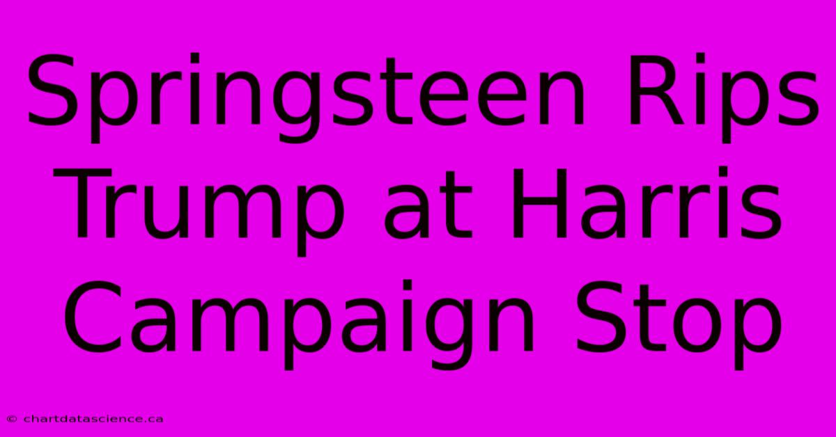 Springsteen Rips Trump At Harris Campaign Stop 