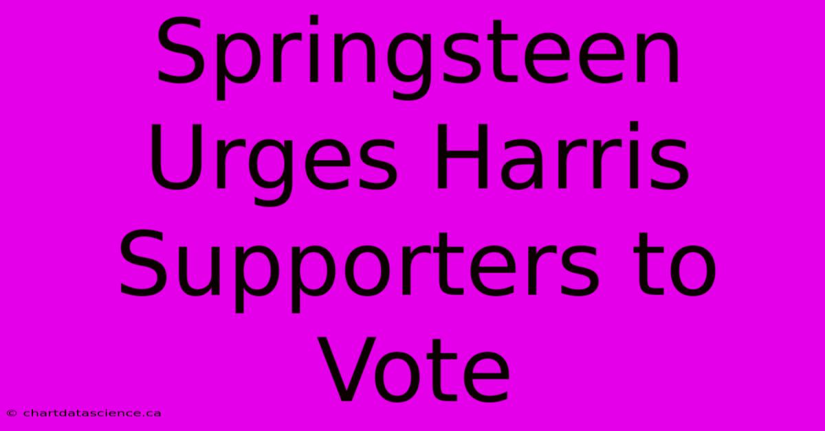 Springsteen Urges Harris Supporters To Vote