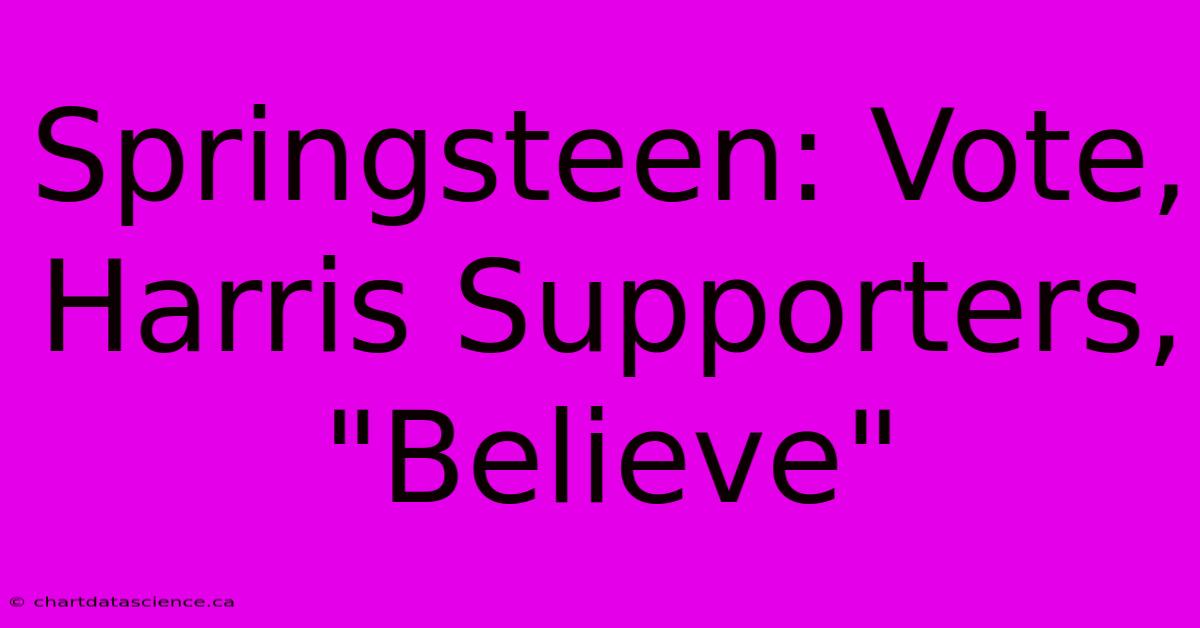 Springsteen: Vote, Harris Supporters, 