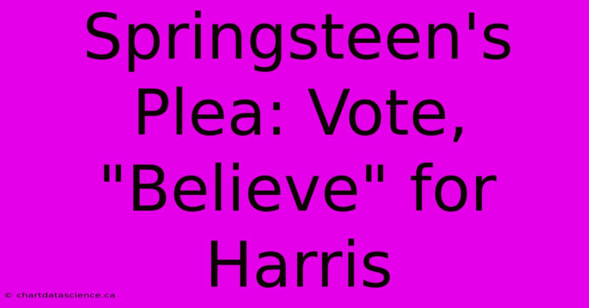 Springsteen's Plea: Vote, 