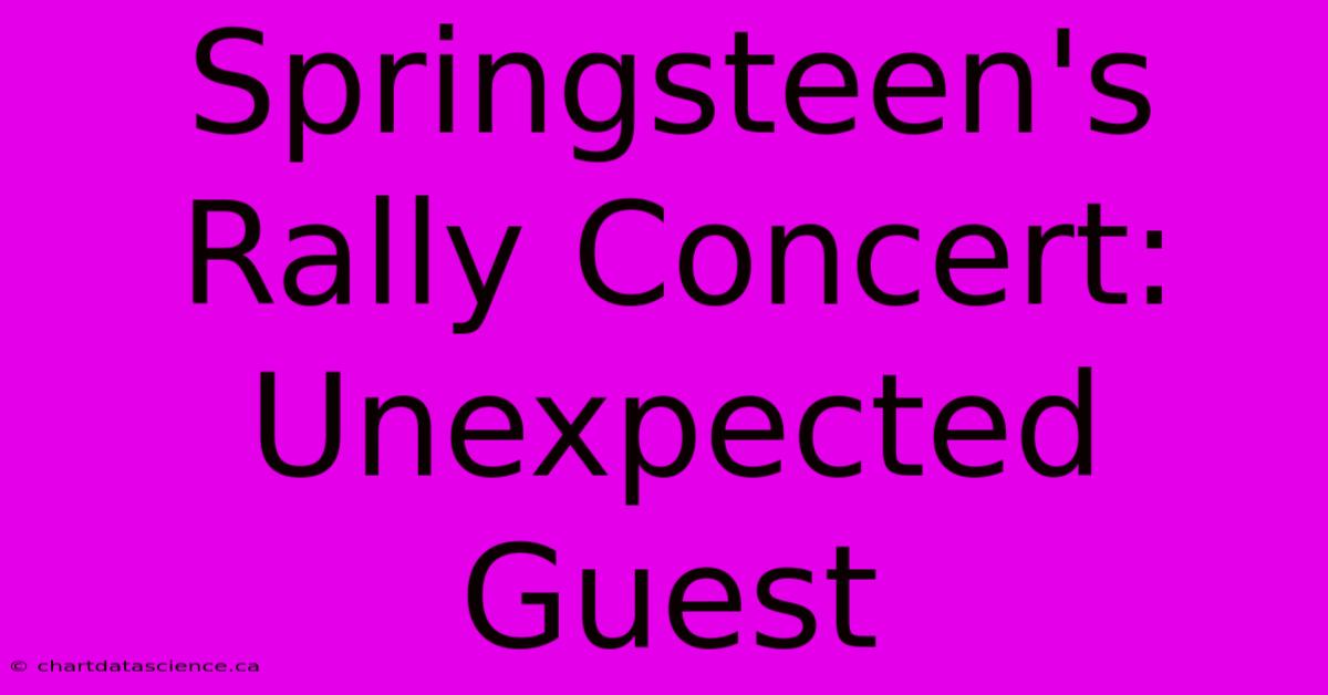 Springsteen's Rally Concert: Unexpected Guest 