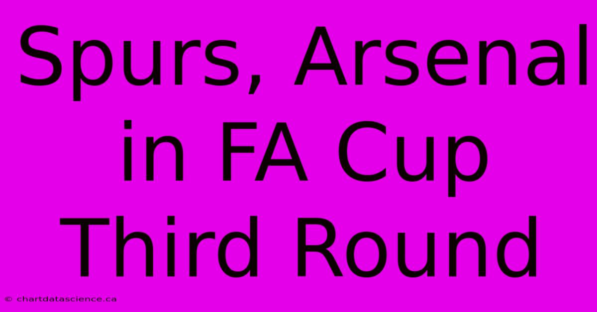 Spurs, Arsenal In FA Cup Third Round