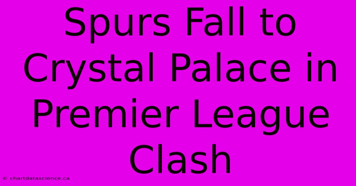 Spurs Fall To Crystal Palace In Premier League Clash