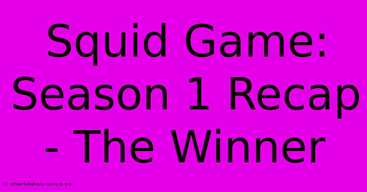 Squid Game: Season 1 Recap - The Winner