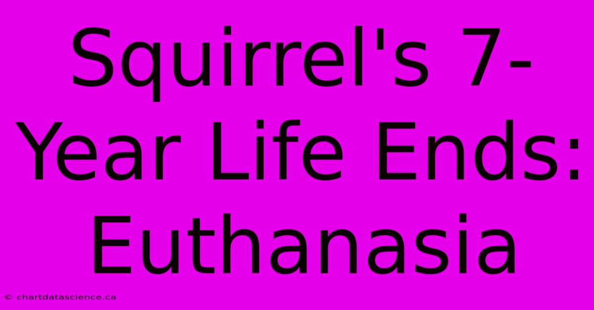 Squirrel's 7-Year Life Ends: Euthanasia 