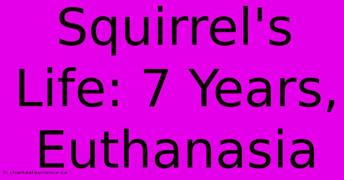 Squirrel's Life: 7 Years, Euthanasia 