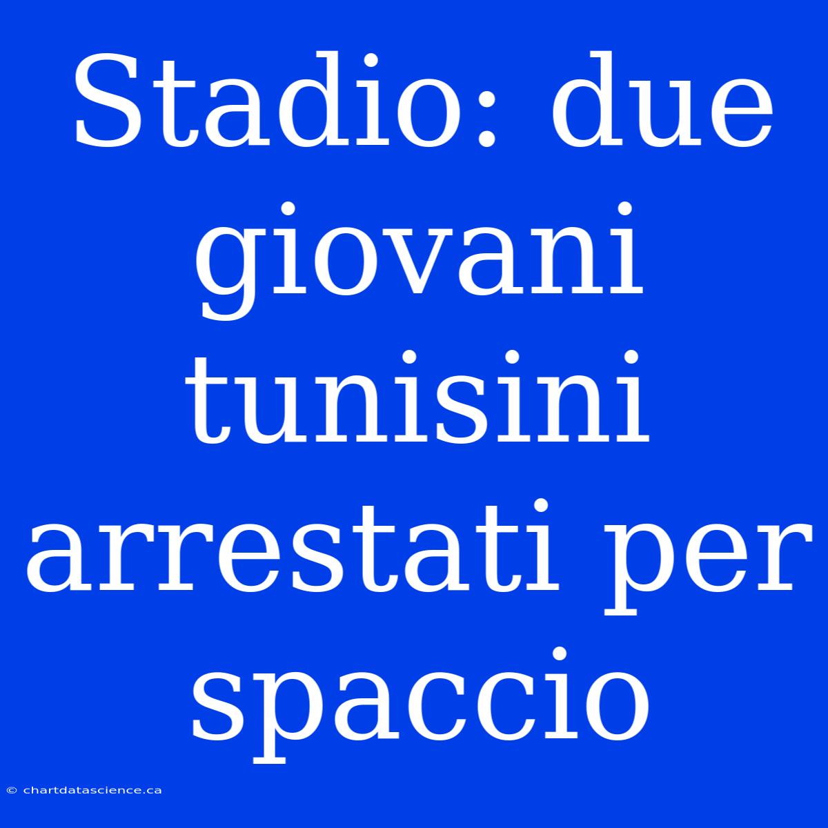 Stadio: Due Giovani Tunisini Arrestati Per Spaccio