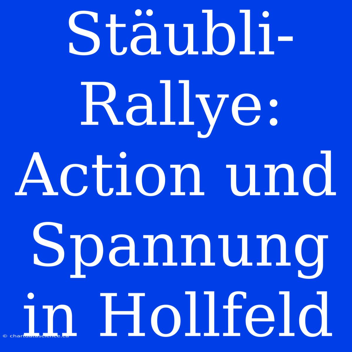 Stäubli-Rallye: Action Und Spannung In Hollfeld