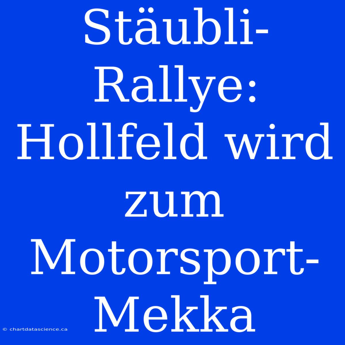 Stäubli-Rallye: Hollfeld Wird Zum Motorsport-Mekka