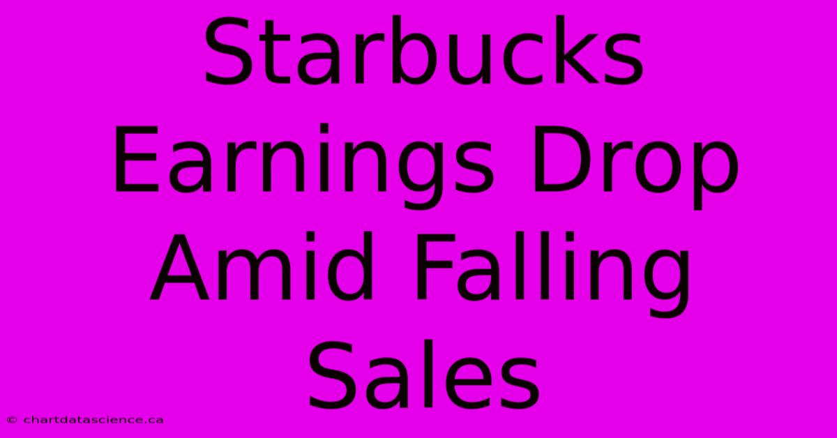 Starbucks Earnings Drop Amid Falling Sales 