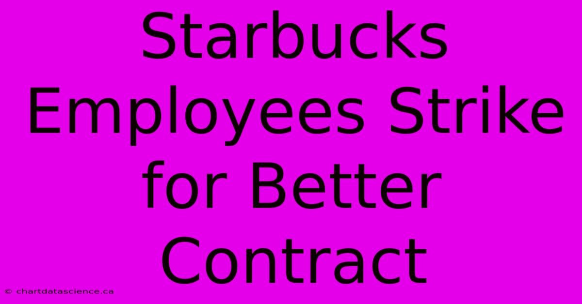 Starbucks Employees Strike For Better Contract