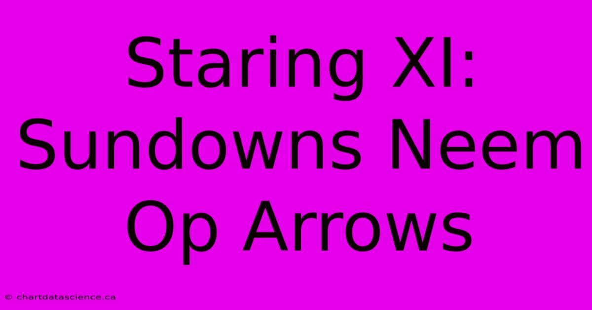 Staring XI: Sundowns Neem Op Arrows