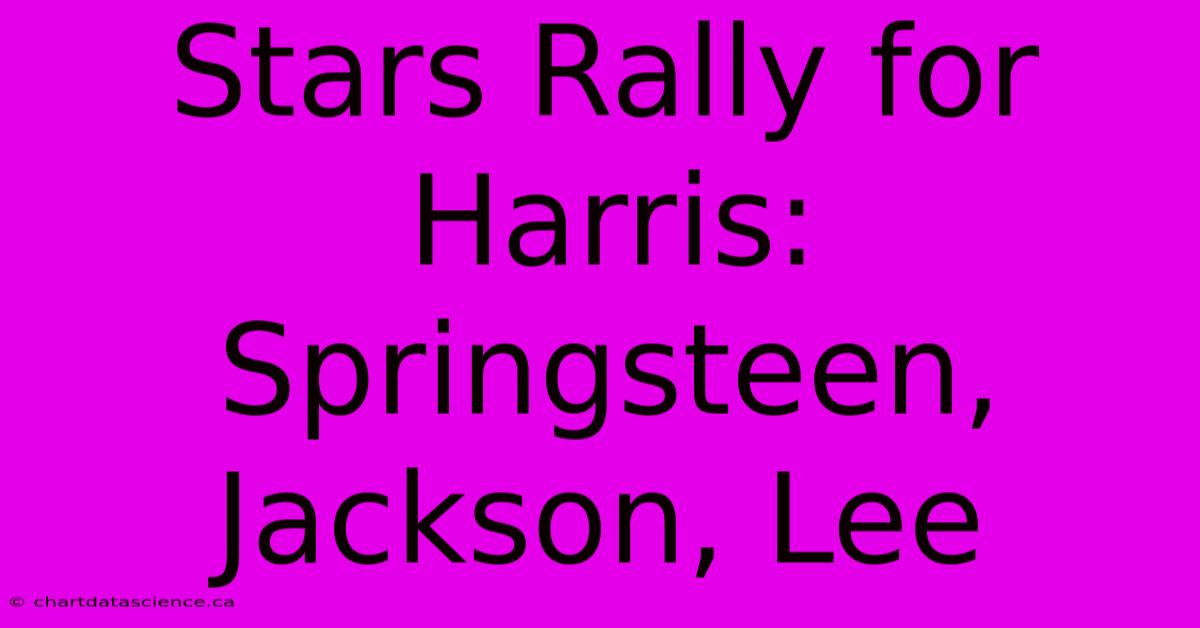 Stars Rally For Harris: Springsteen, Jackson, Lee 