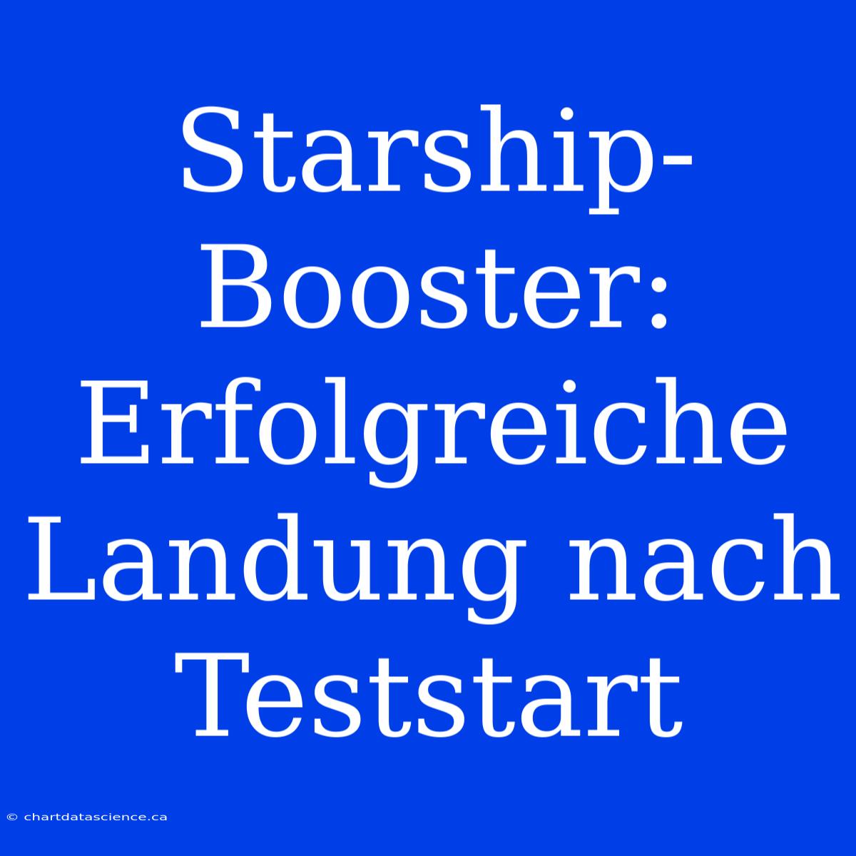 Starship-Booster: Erfolgreiche Landung Nach Teststart