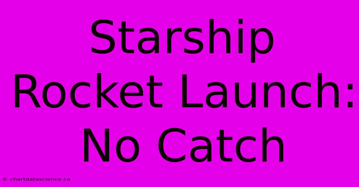 Starship Rocket Launch: No Catch