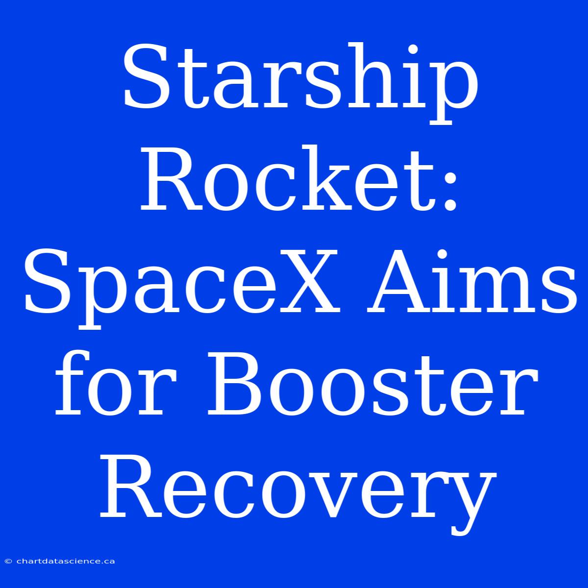 Starship Rocket: SpaceX Aims For Booster Recovery