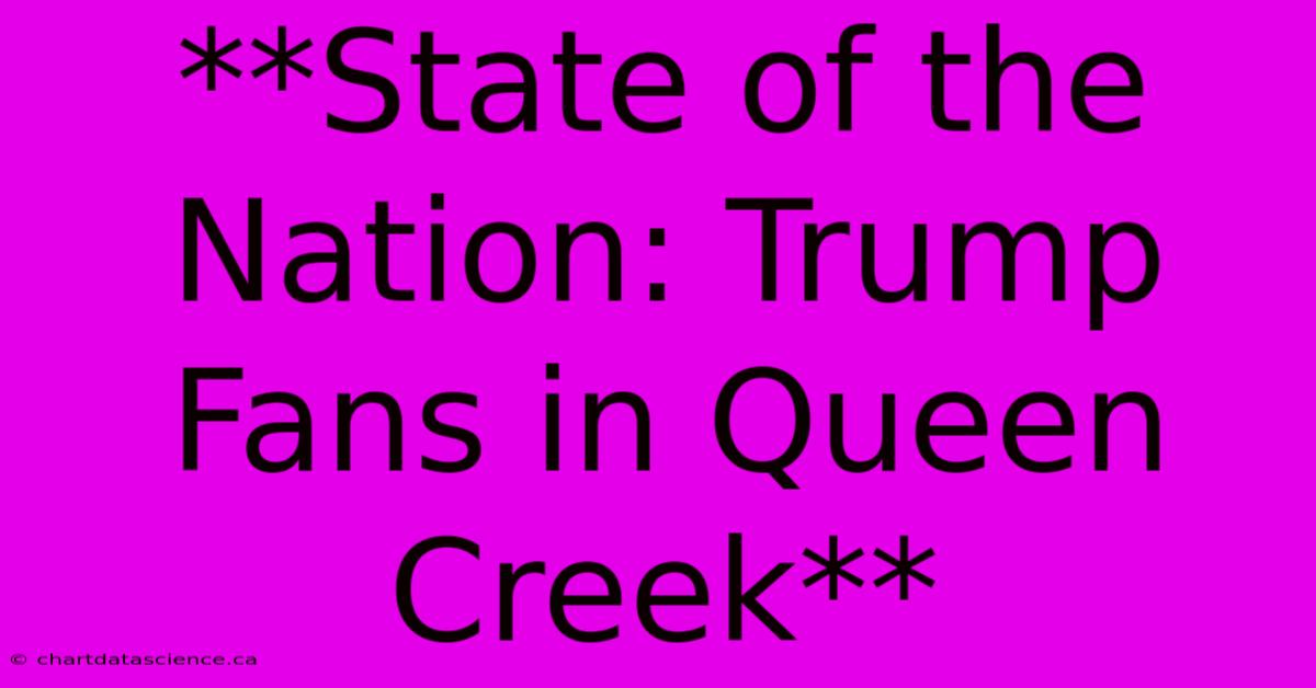 **State Of The Nation: Trump Fans In Queen Creek**