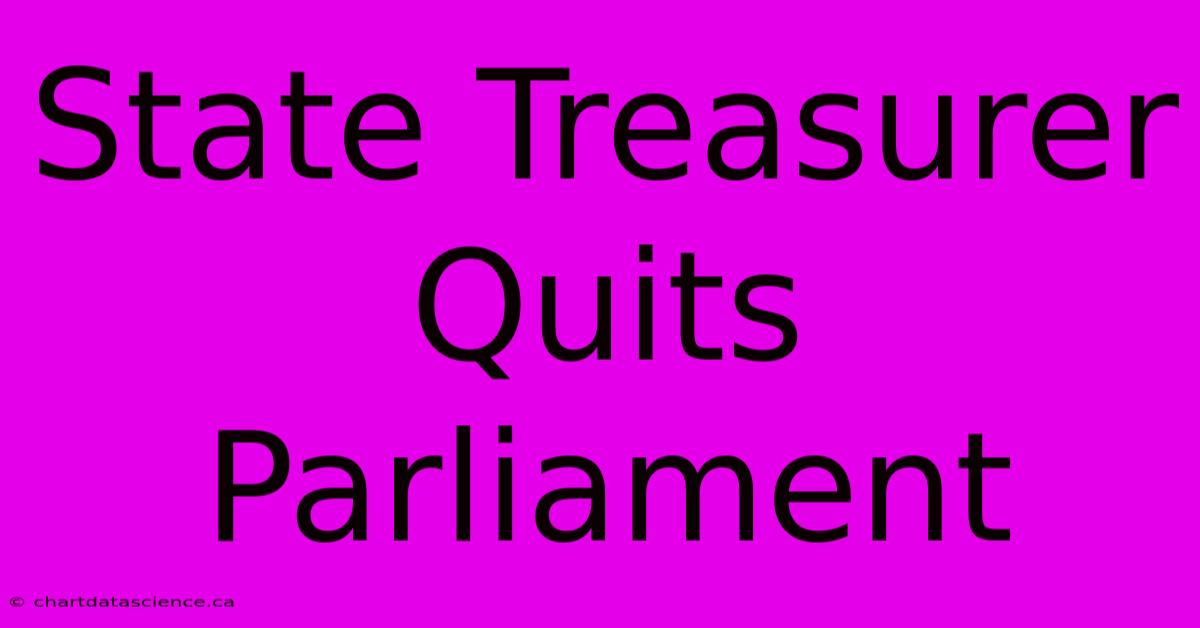 State Treasurer Quits Parliament