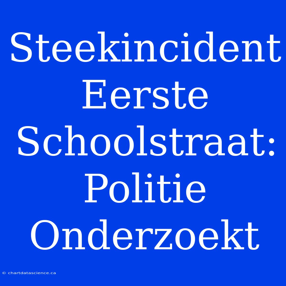 Steekincident Eerste Schoolstraat: Politie Onderzoekt