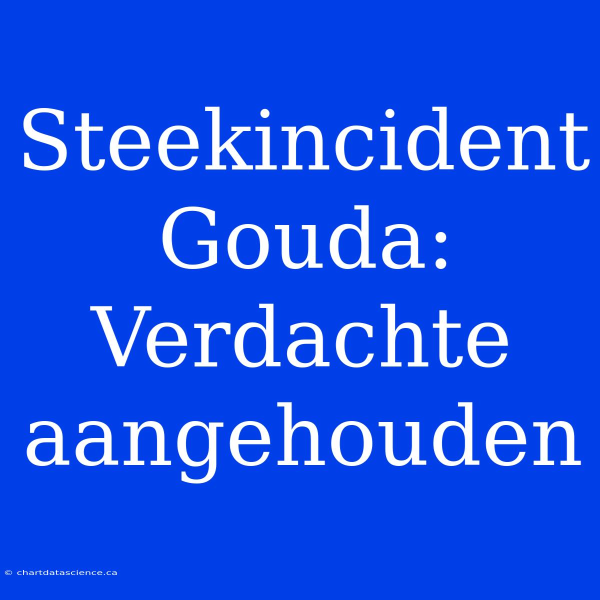 Steekincident Gouda: Verdachte Aangehouden