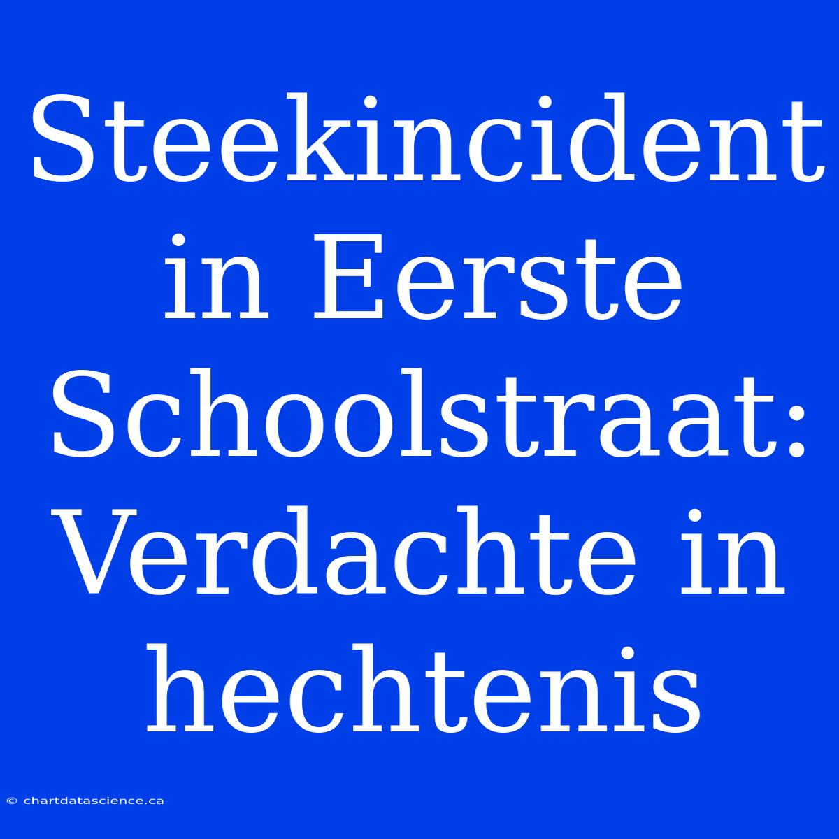 Steekincident In Eerste Schoolstraat: Verdachte In Hechtenis