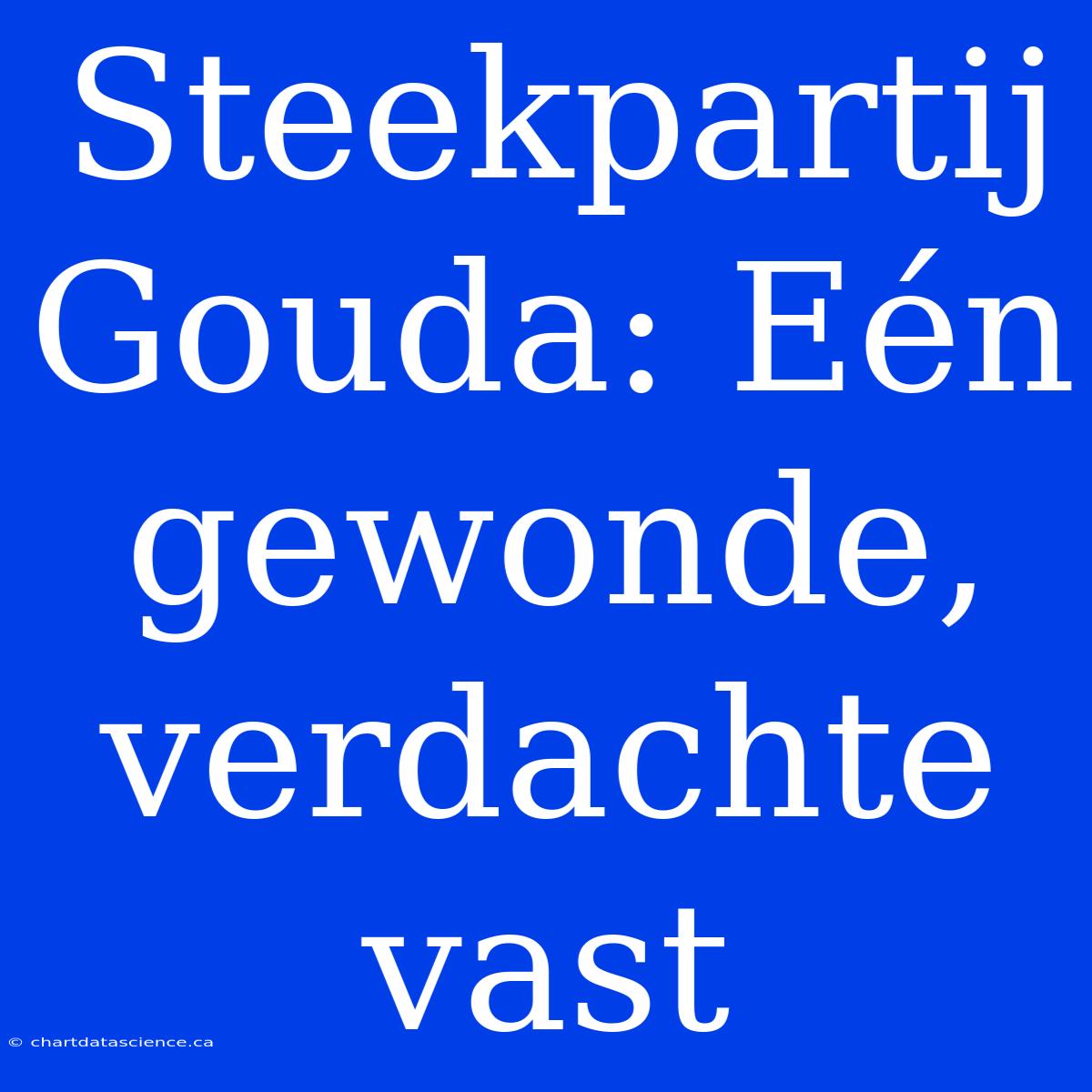 Steekpartij Gouda: Eén Gewonde, Verdachte Vast