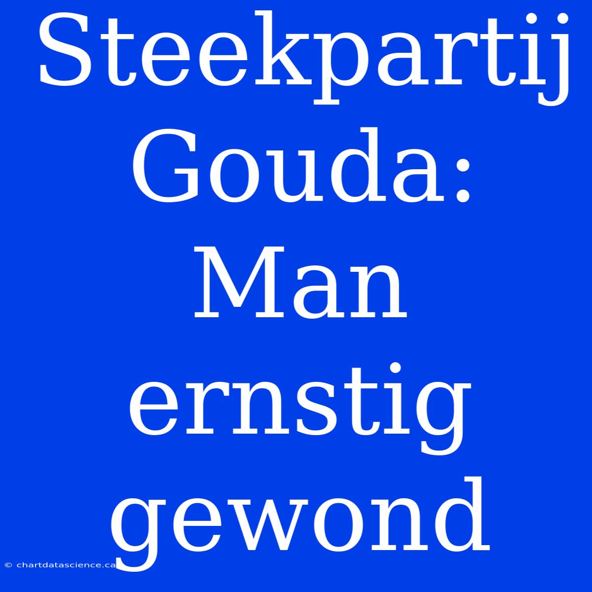 Steekpartij Gouda: Man Ernstig Gewond