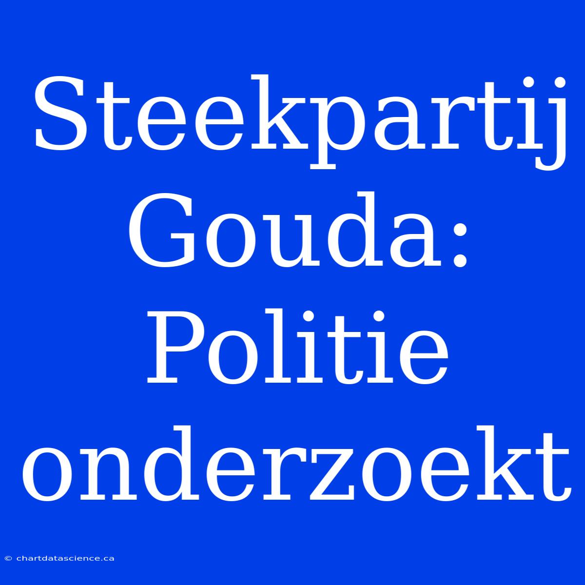 Steekpartij Gouda: Politie Onderzoekt