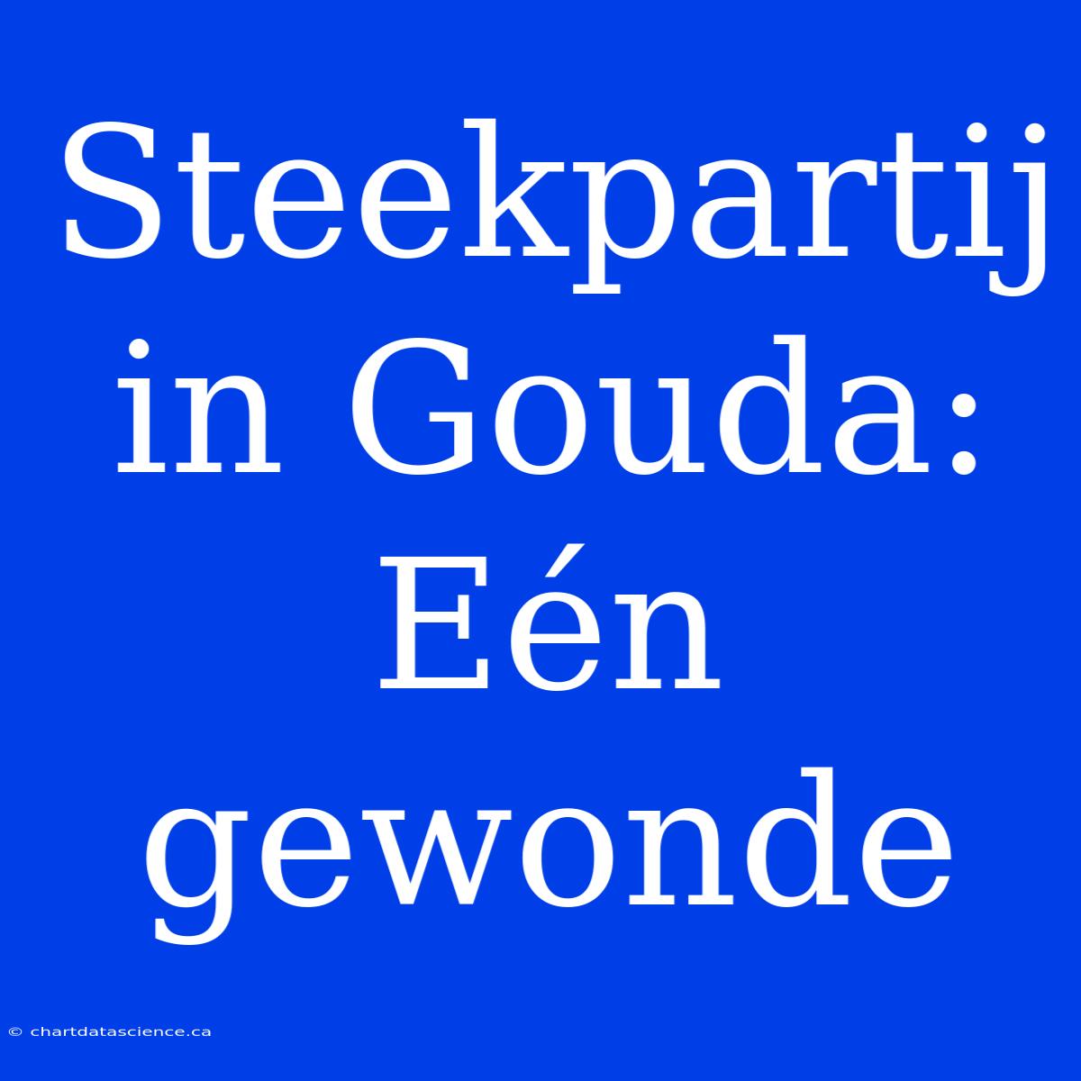 Steekpartij In Gouda: Eén Gewonde