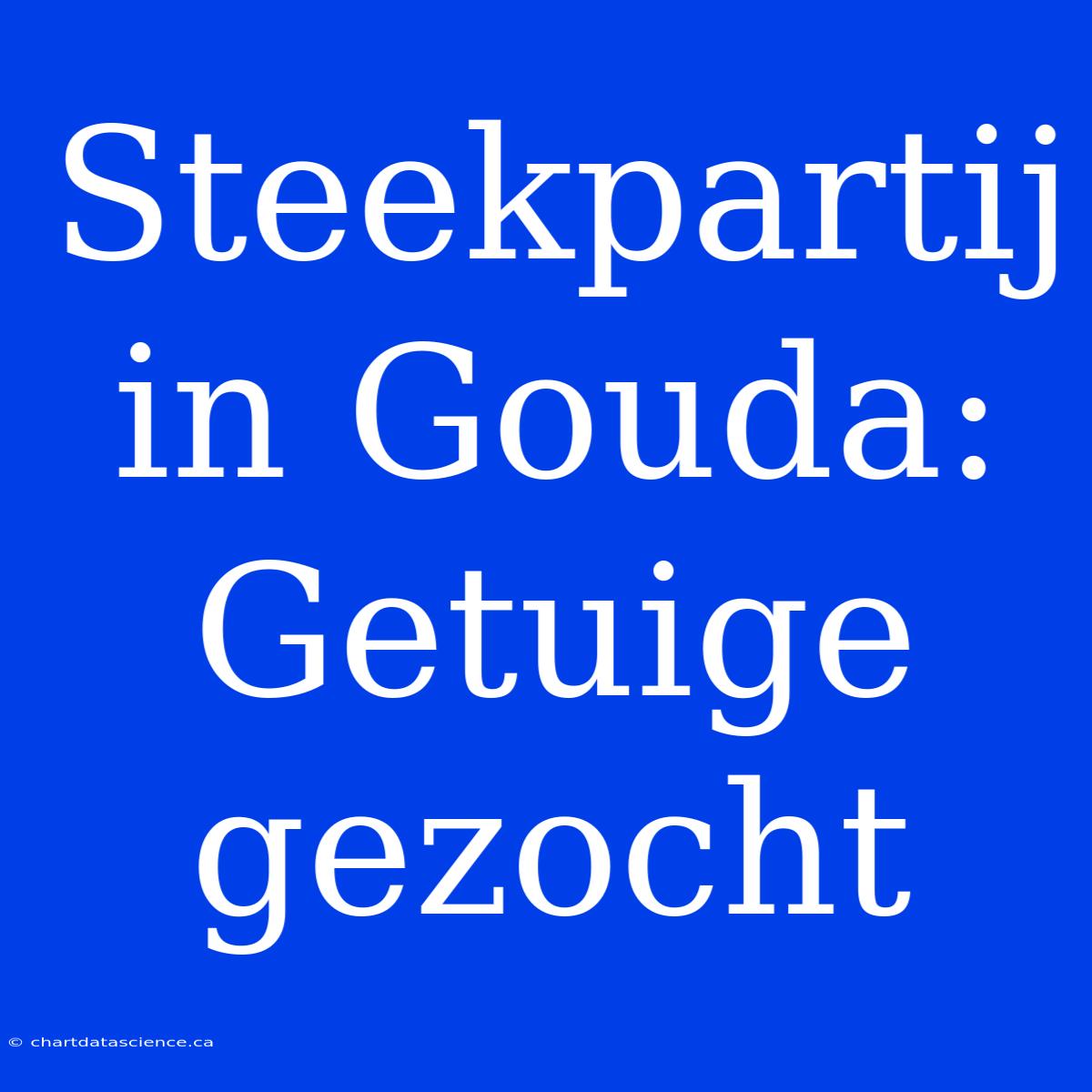 Steekpartij In Gouda: Getuige Gezocht