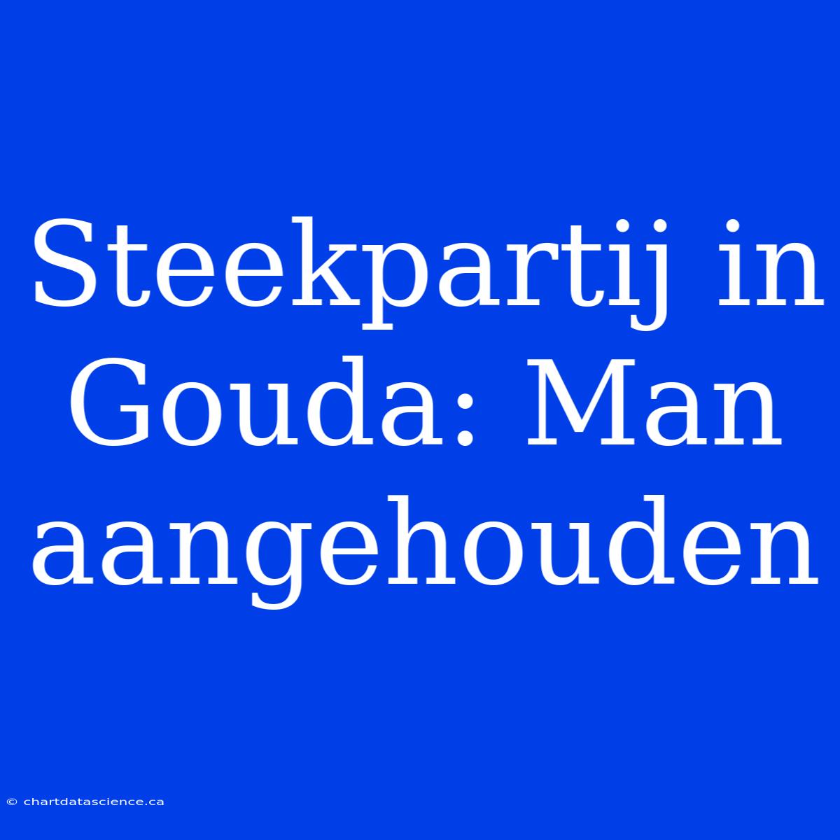 Steekpartij In Gouda: Man Aangehouden