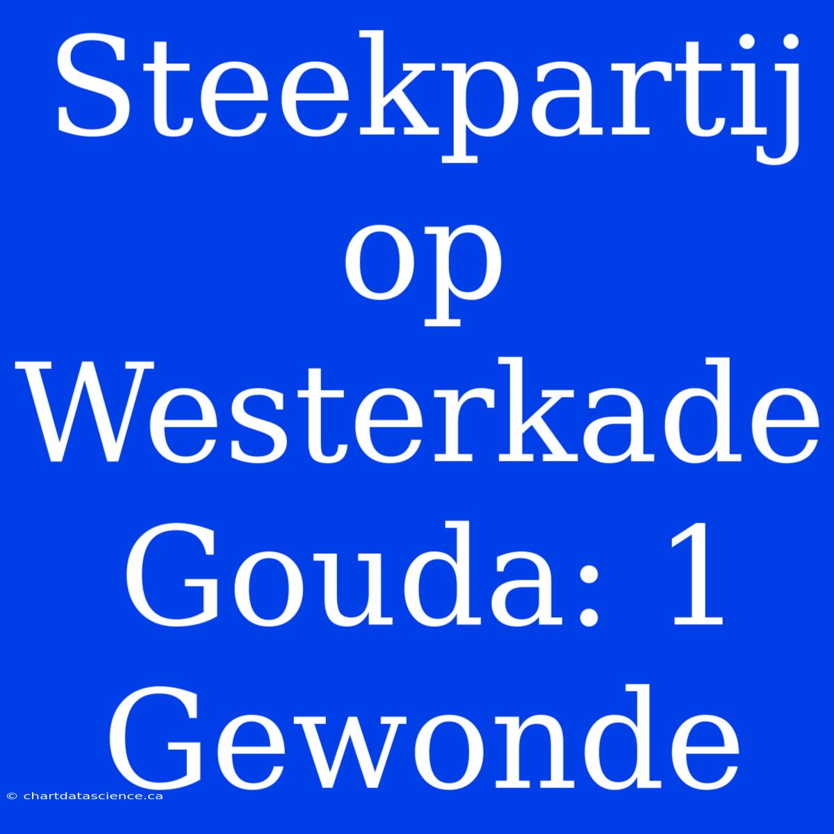 Steekpartij Op Westerkade Gouda: 1 Gewonde