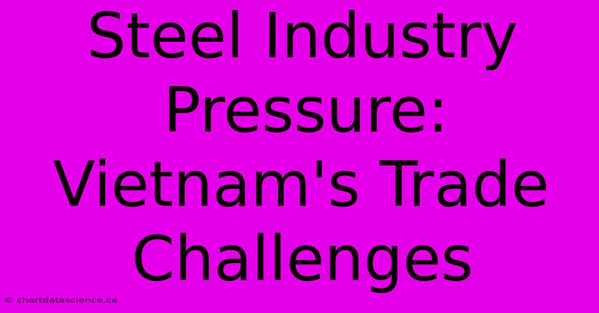 Steel Industry Pressure: Vietnam's Trade Challenges