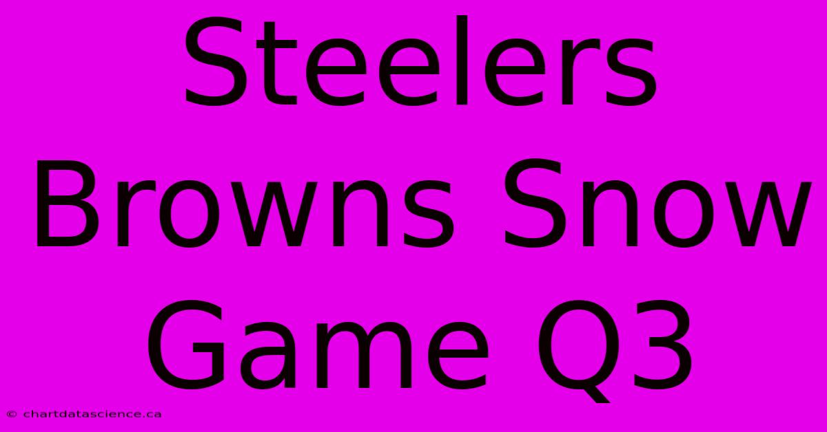 Steelers Browns Snow Game Q3