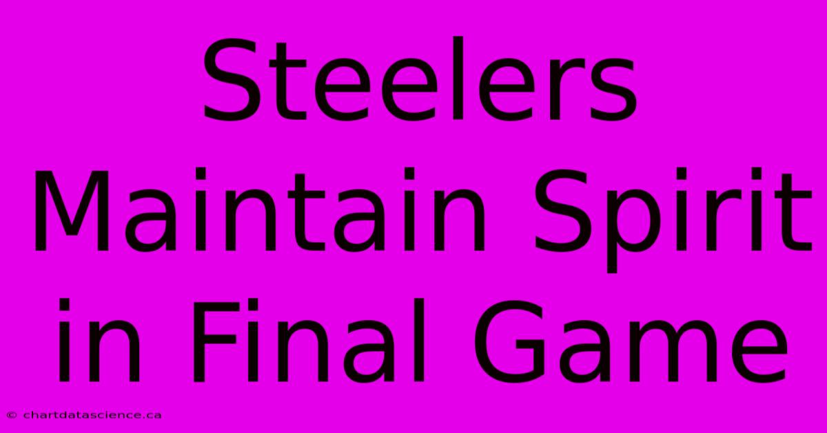 Steelers Maintain Spirit In Final Game