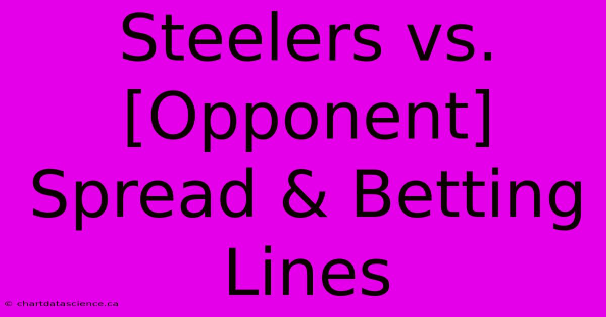 Steelers Vs. [Opponent] Spread & Betting Lines