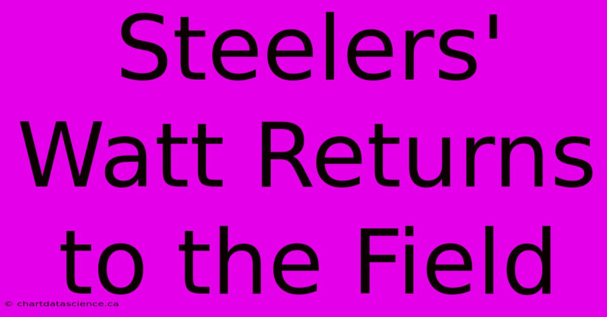 Steelers' Watt Returns To The Field