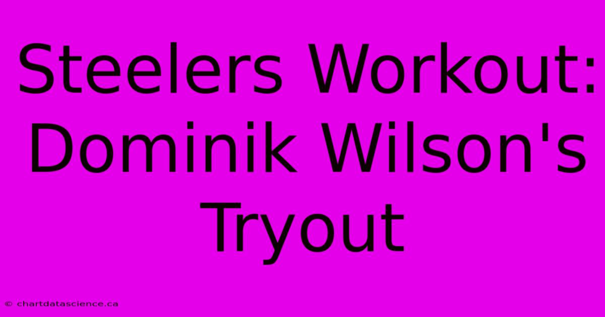 Steelers Workout: Dominik Wilson's Tryout