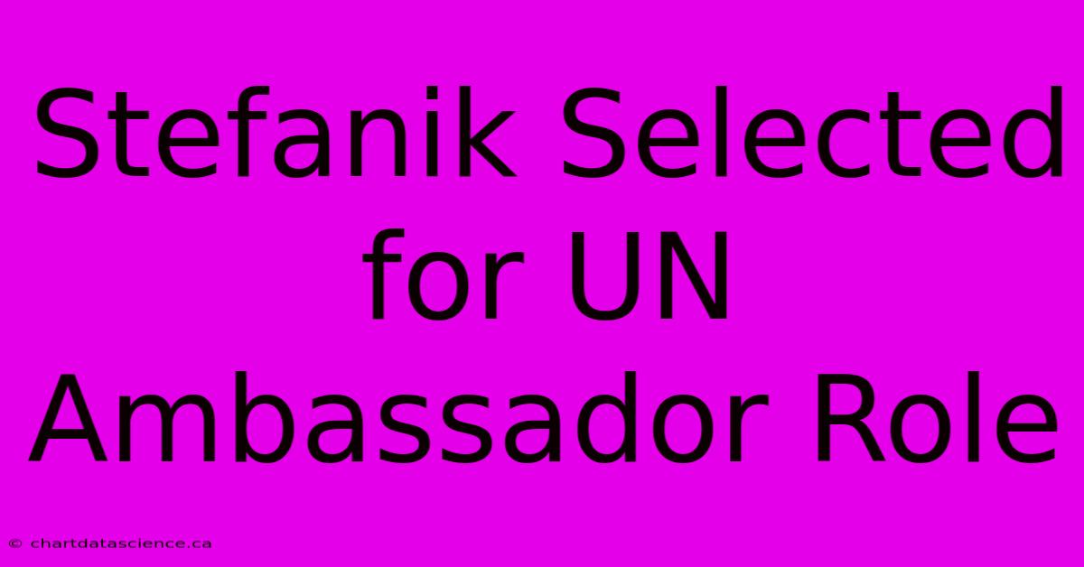 Stefanik Selected For UN Ambassador Role