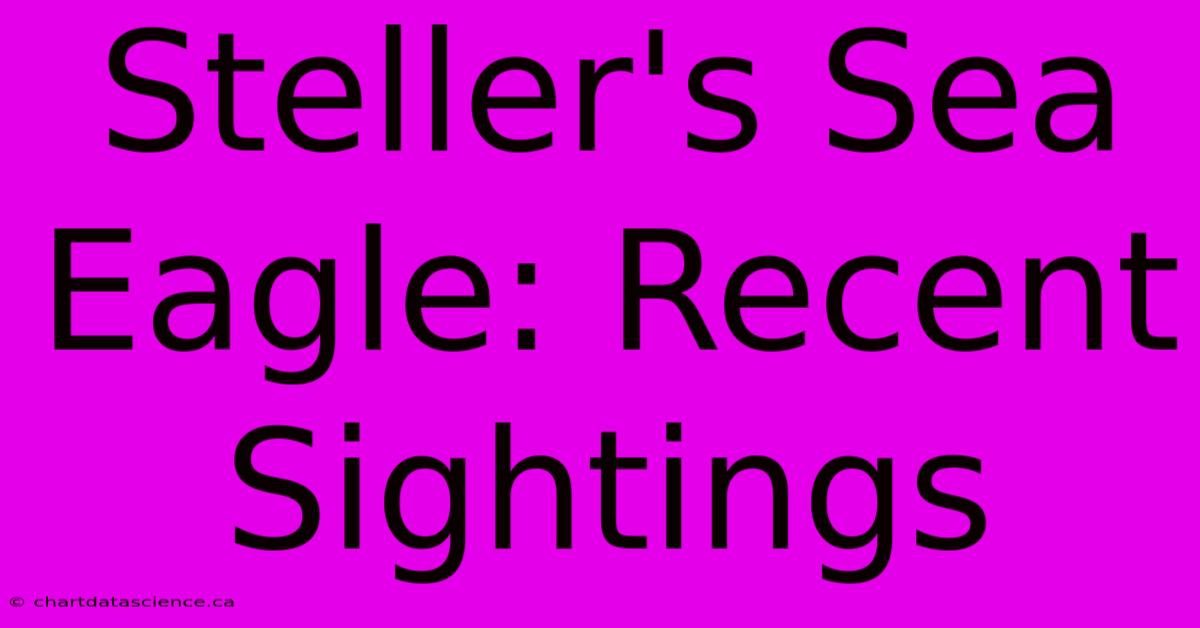 Steller's Sea Eagle: Recent Sightings