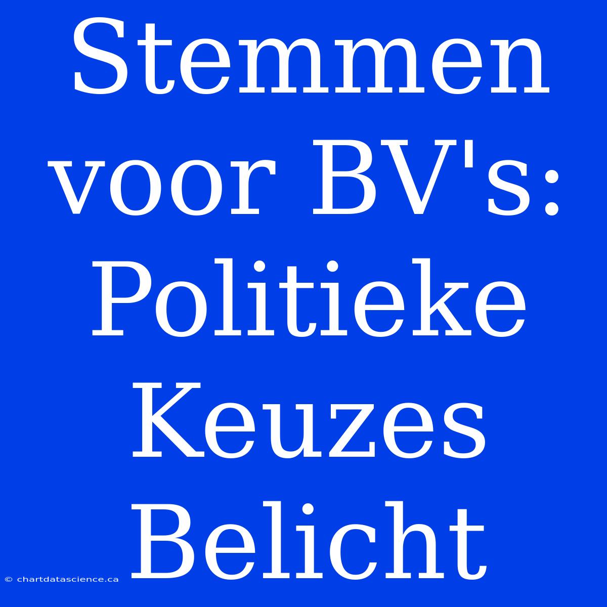 Stemmen Voor BV's: Politieke Keuzes Belicht