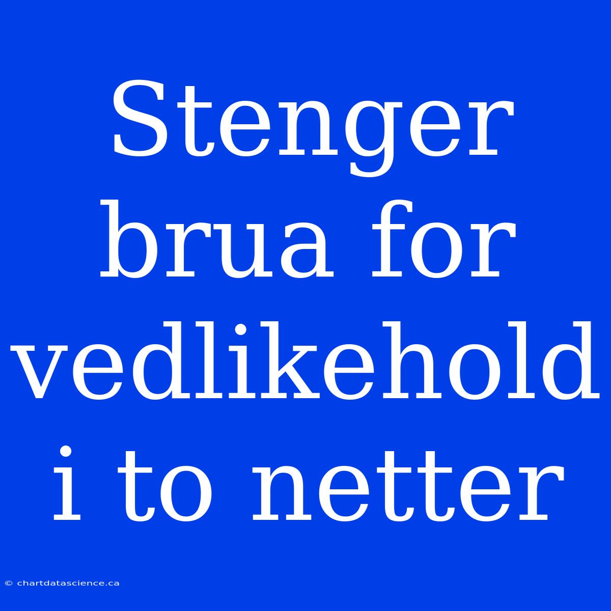 Stenger Brua For Vedlikehold I To Netter