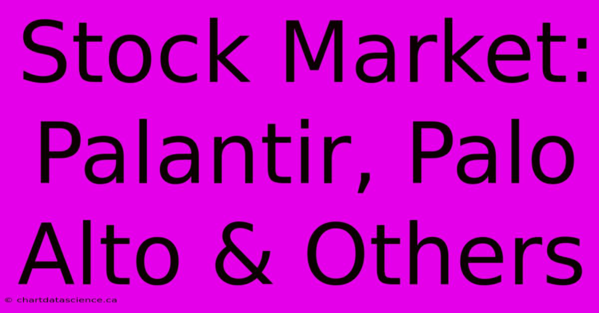 Stock Market: Palantir, Palo Alto & Others