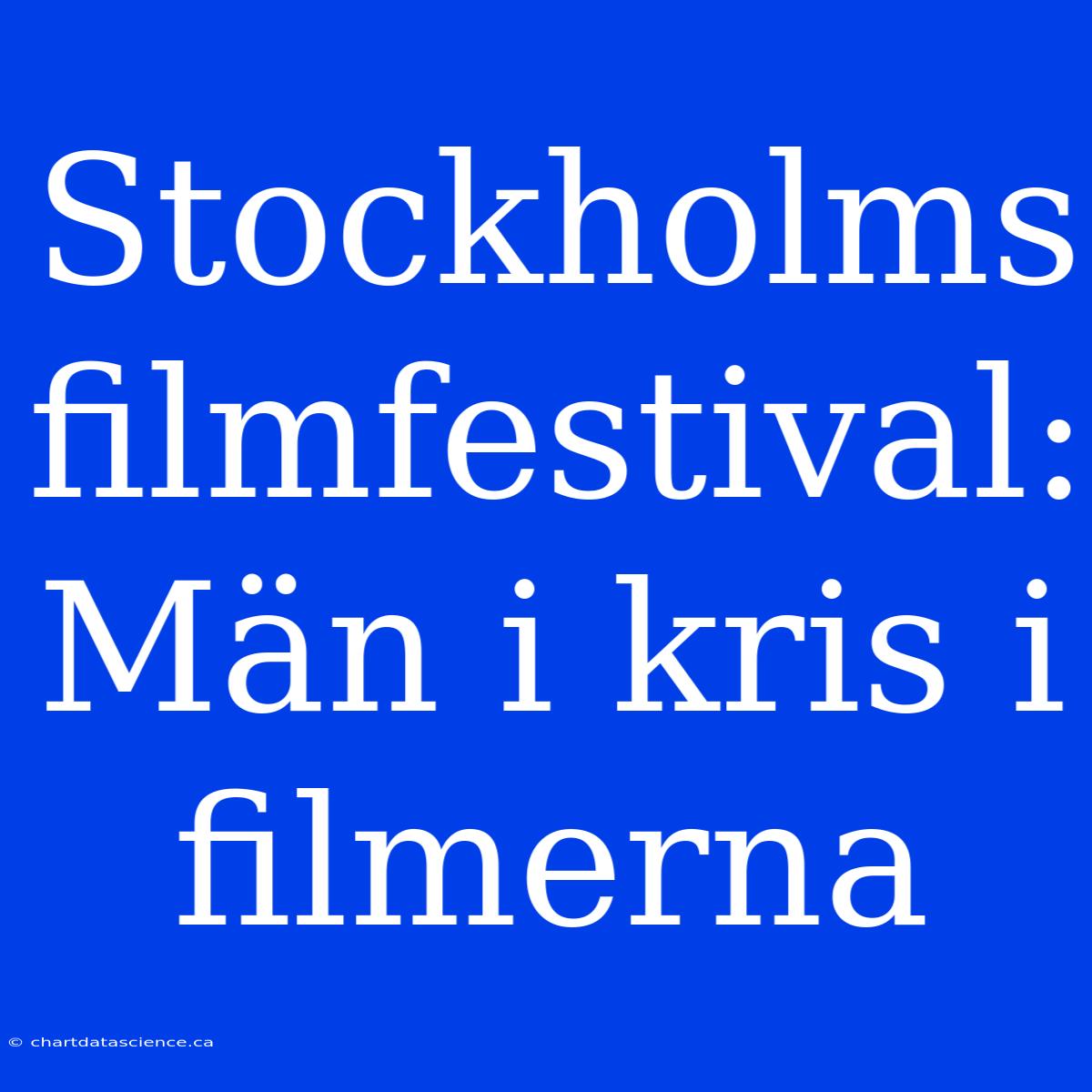 Stockholms Filmfestival: Män I Kris I Filmerna