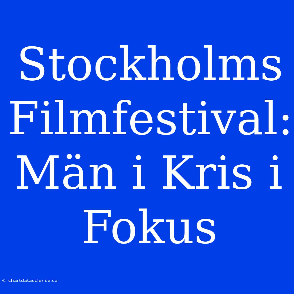 Stockholms Filmfestival: Män I Kris I Fokus